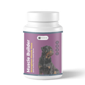 MUSCLE BUILDER