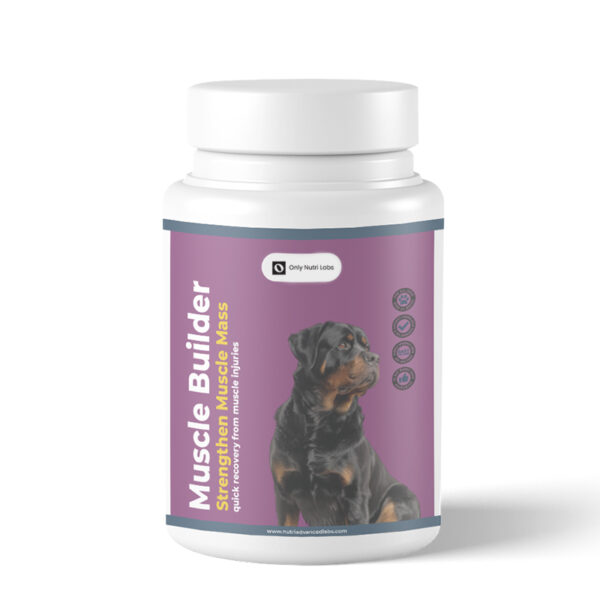 MUSCLE BUILDER
