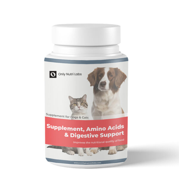 Digestive Support Supplement