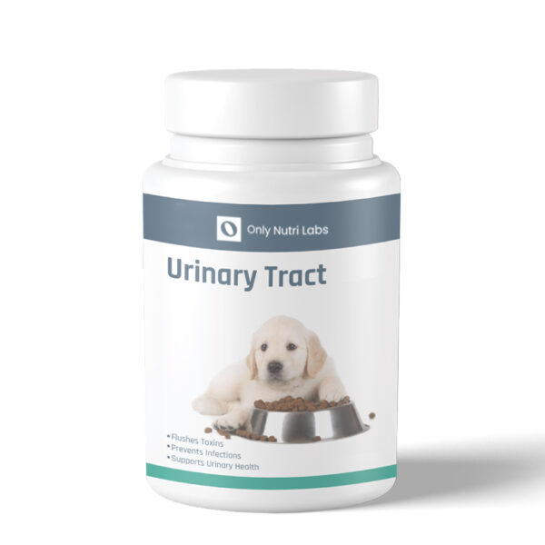 URINARY TRACT