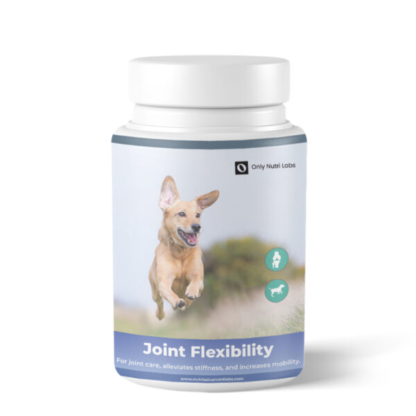 JOINT FLEXIBILITY