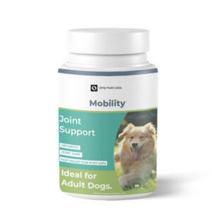 MOBILITY